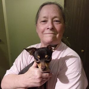 Meet your Posher, Ann